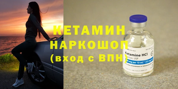 шишки Беломорск