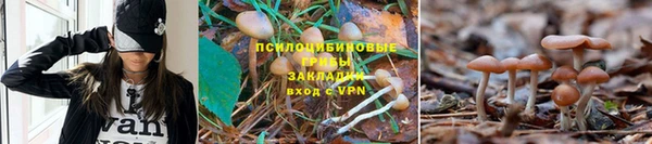 синтетический гашиш Белоозёрский