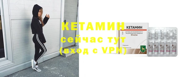 шишки Беломорск