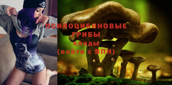 шишки Беломорск